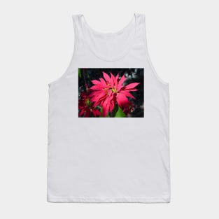 Poinsettia-Buena Noche Tank Top